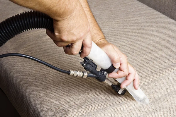 Pet Stain and Odor Removal
